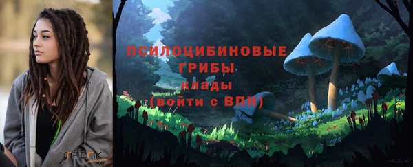 альфа пвп Армянск