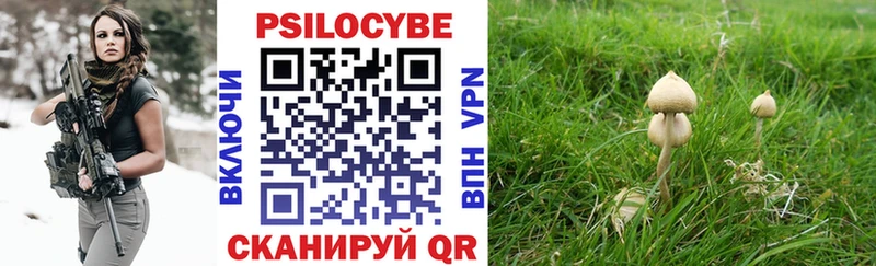 Псилоцибиновые грибы Cubensis omg как зайти Северо-Курильск